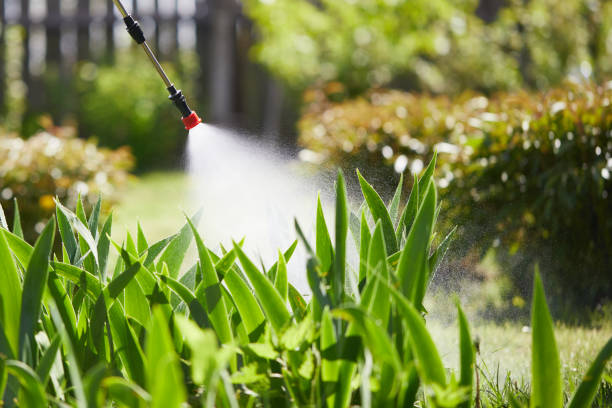 24/7 Emergency Mosquito Control experts in Sandstone, MN